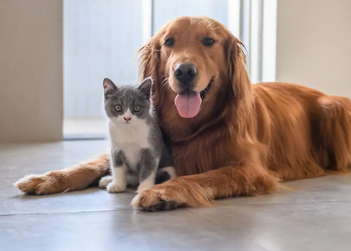 Nord Hotel Schiltigheim